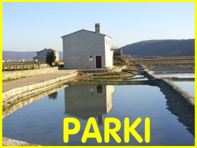 PARKI