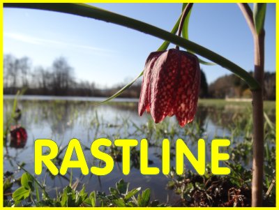 RASTLINE
